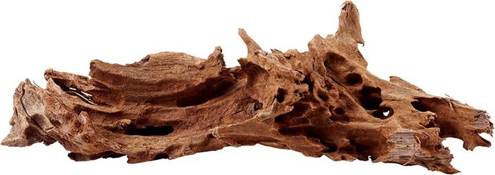 Actual product image Amazonas Mangrove wood (Sand, Tree)