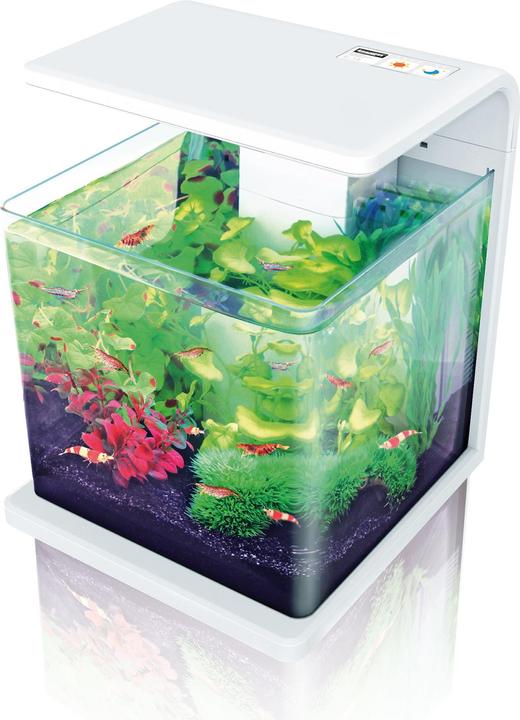 Actual product image Amazonas Spare transformer