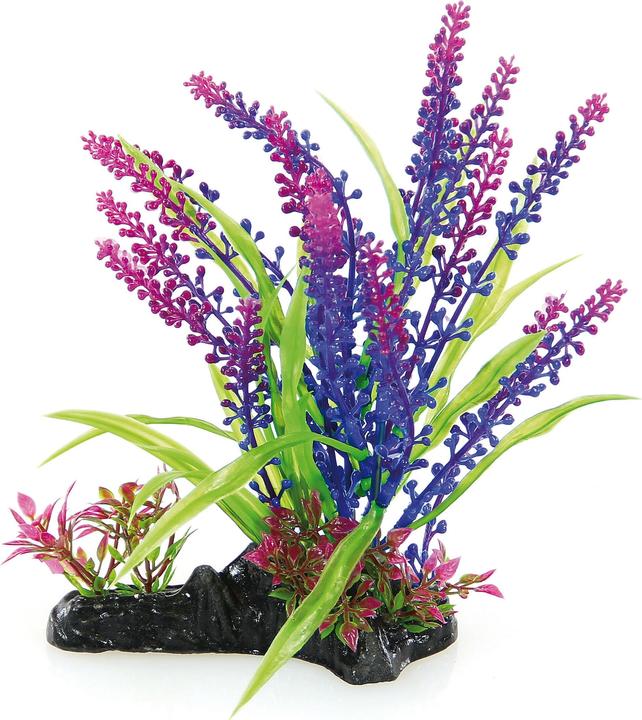 Produktbild Amazonas Fantasy Plant 20cm (Pflanzen, Pflanzen)