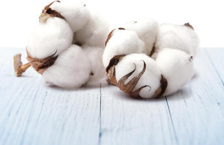 Actual product image Air Wick Pure Fresh Laundry