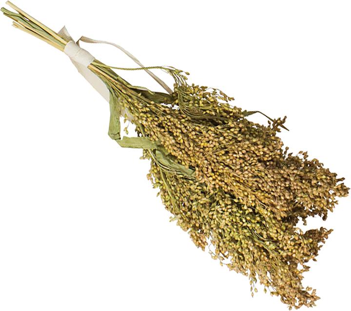 Actual product image JR Farm Birds Rispenhirse (1 x, 0.11 kg)