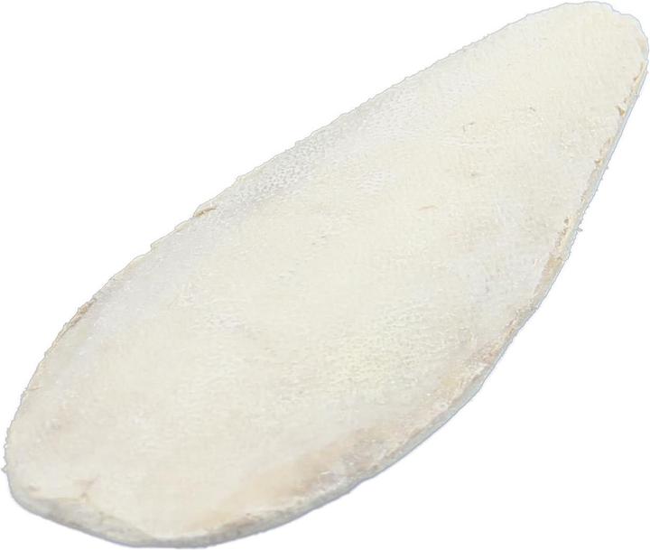 Produktbild Swisspet Sepiaschale (1 x, 0.02 kg)
