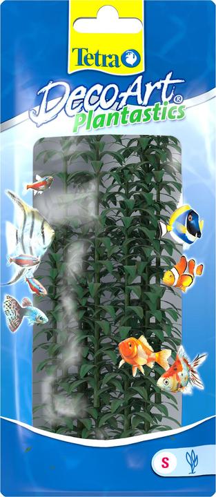 Produktbild Tetra Plantastics Plus Hygrophilia (Pflanzen, Pflanzen)