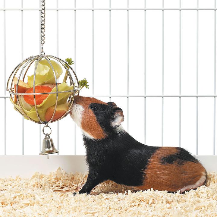 Image du produit Swisspet Boule d'alimentation avec trappe d'alimentation