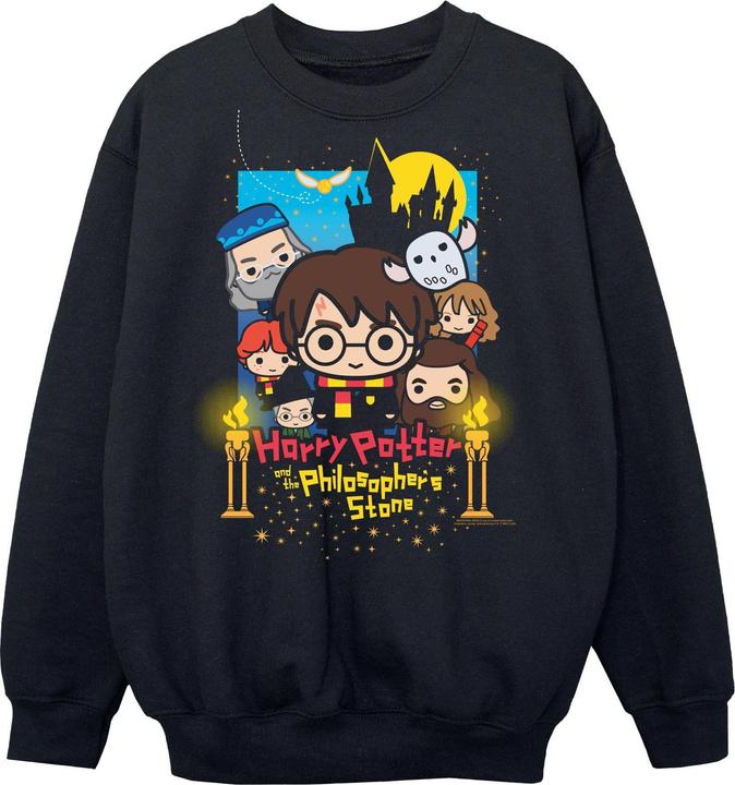 Image du produit Harry Potter Sweatshirt pour garçons (116)