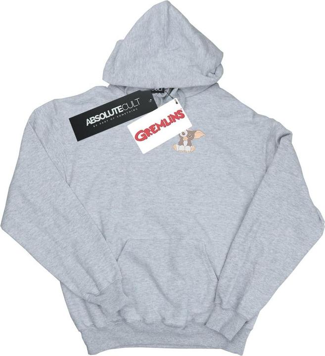 Actual product image Universal Textiles Mens Gizmo Chest Hoodie (XL)