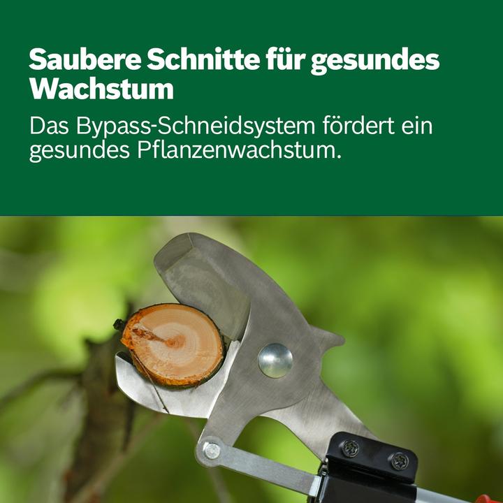 Productafbeelding Bosch Home & Garden Geavanceerde Schaar 18 Set (Draadloze heggenschaar)