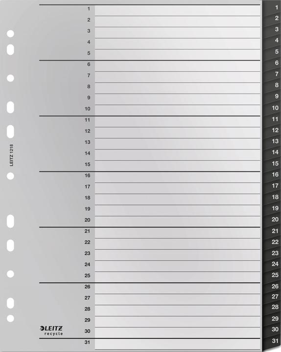 Leitz Register Recycle 1-31