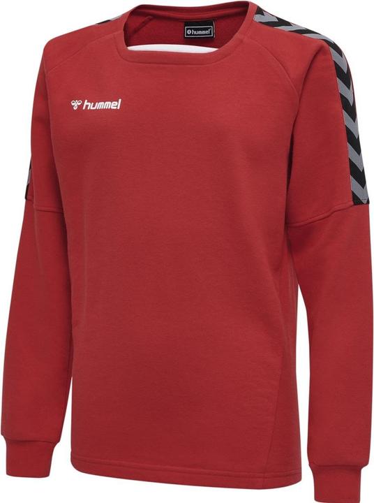 Actual product image hummel Authentic Kids Training Sweat (152)