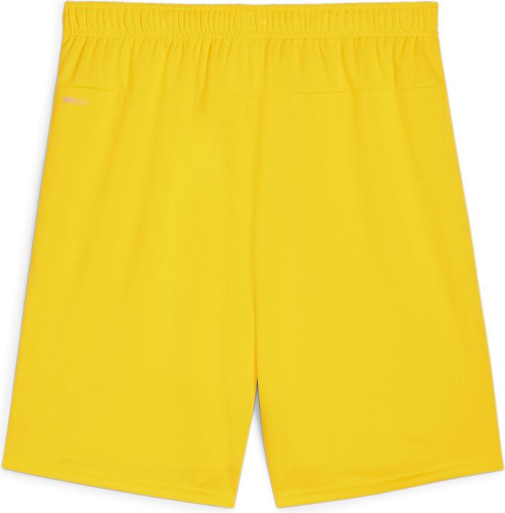 Actual product image Puma teamGOAL shorts (3XL)