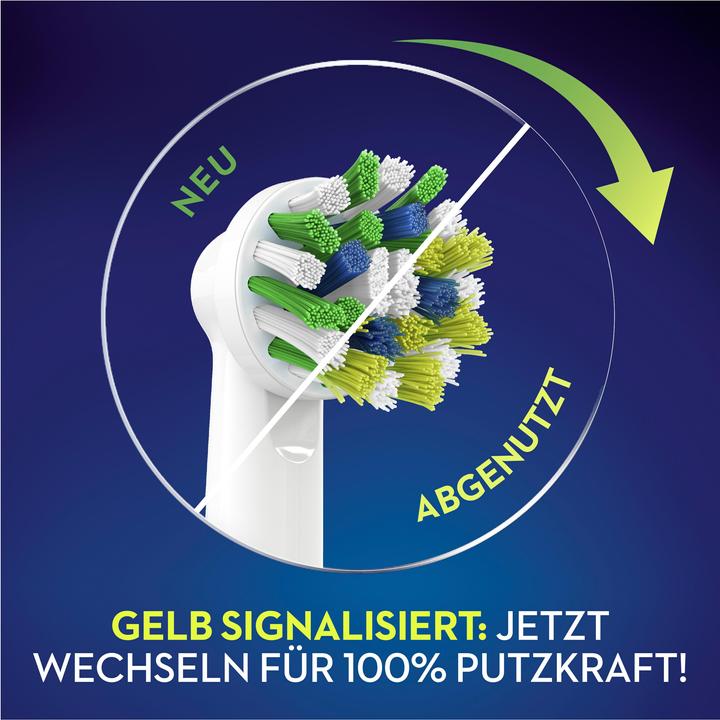 Image du produit Oral-B Cross Action CleanMaximiser (12 x)