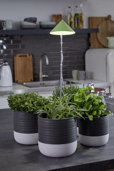 Immagine prodotto Colibri Sunlite (LED, 230 V)
