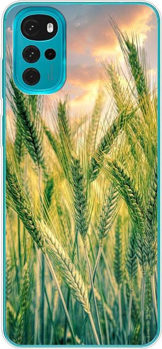 Cornfield