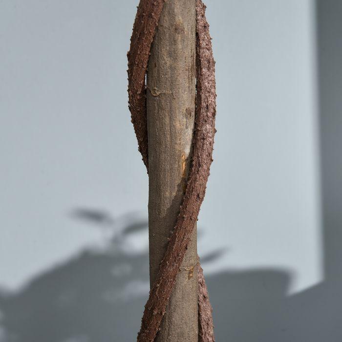 Produktbild Swisshandel24 2er-Set Künstlicher Lorbeerbaum 120cm Kunstpflanzen im Zementtopf, Zimmerpflanze (120 cm)