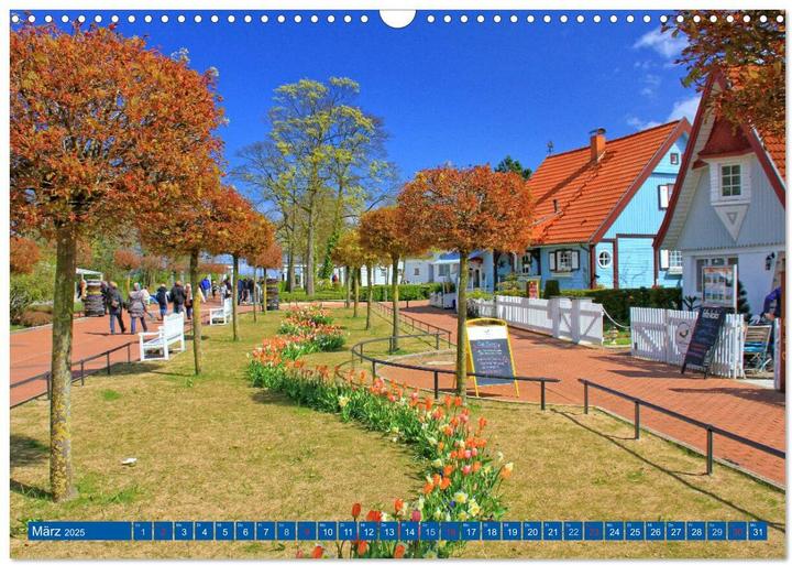 Produktbild Boltenhagen - Sonne, Sand und Ferien an der Ostsee (Wandkalender 2025 DIN A3 quer), Monatsk (A3, Deutsch)