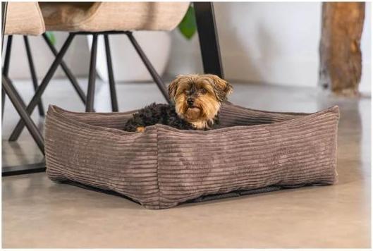 Produktbild Designed by Lotte Ribbed (Hund)