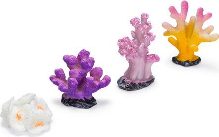 Actual product image Beeztees Coral (other items)