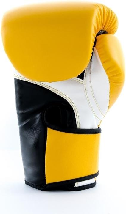 Image du produit UFC PRO Fitness Training Glove (16 OZ)