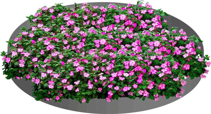 Immagine prodotto Green Split Piramide floreale (2 pezzi: 120 x 13,5 cm) (13.50 cm, 13.50 cm)