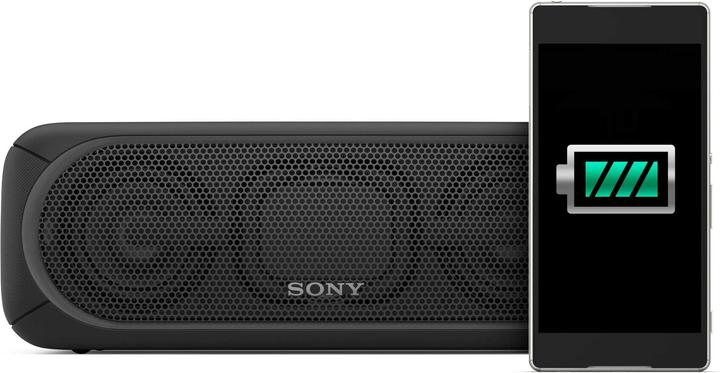 Actual product image Sony Srs-Xb40 (24 h, Rechargeable battery operated)