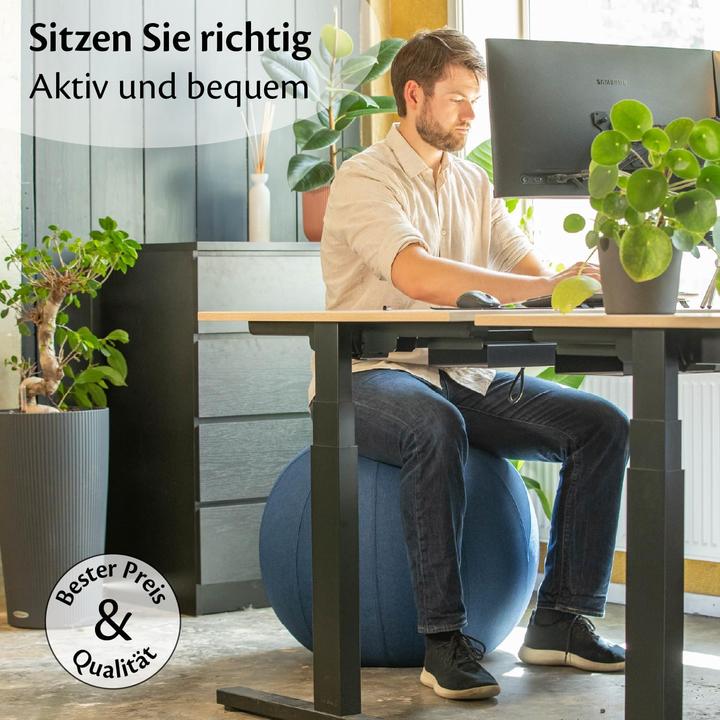 Image du produit Backerz Ergonomischer Sitzball mit waschbarem Leinenbezug (65 cm)