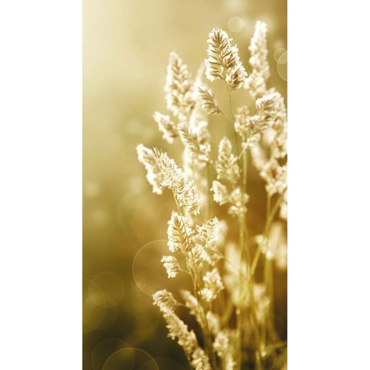 Produktbild Trenddeko Sonniges Kornfeld (336 x 260 cm)