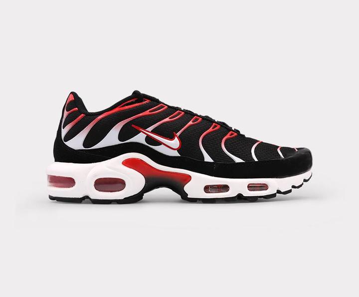 Actual product image Nike Air Max Plus (43)
