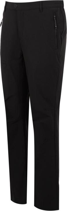 Actual product image Regatta Mens Highton II Hiking Trousers (44)