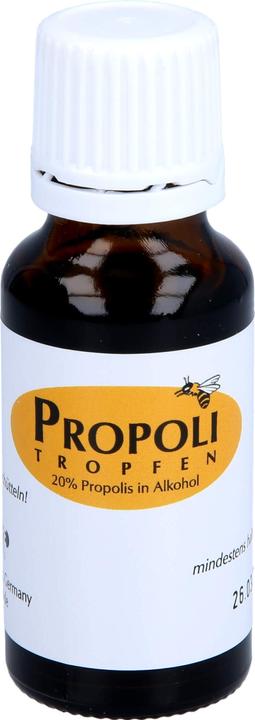 Produktbild Remmele Tropfen 20 % in Alkohol (1 Stück, Tropfen, 67 g)