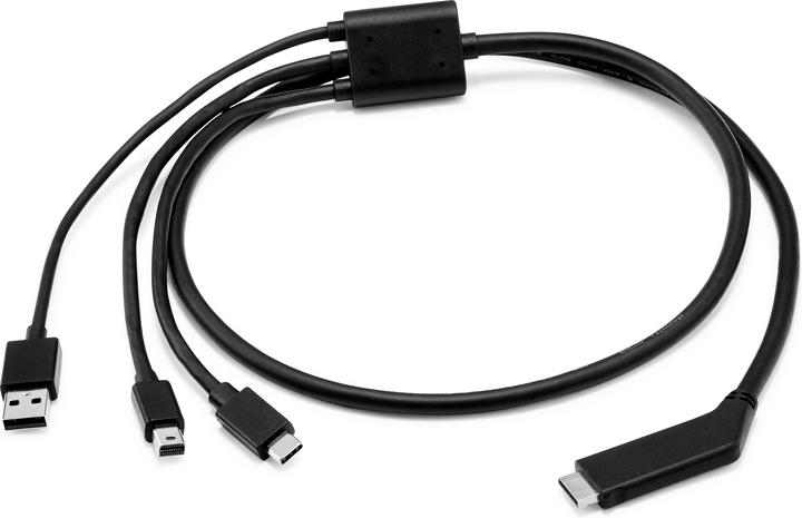 Actual product image HP Kabel für Reverb G2 USB Type-C - DisplayPort, 1 m (1 m, DisplayPort)