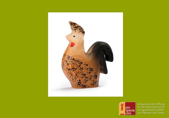 Immagine prodotto Trauffer Pollo a punta dell'Appenzello