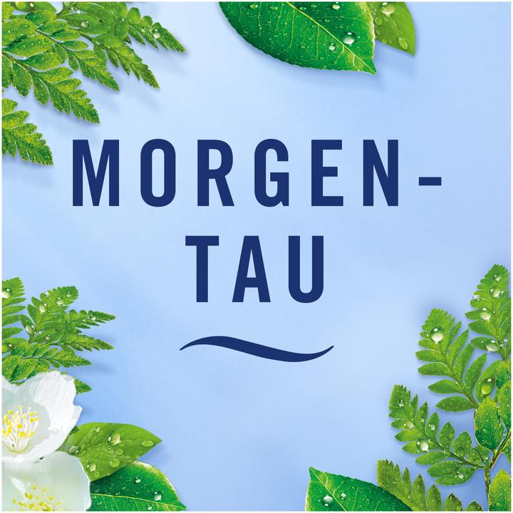 Image du produit Febreze Morgentau