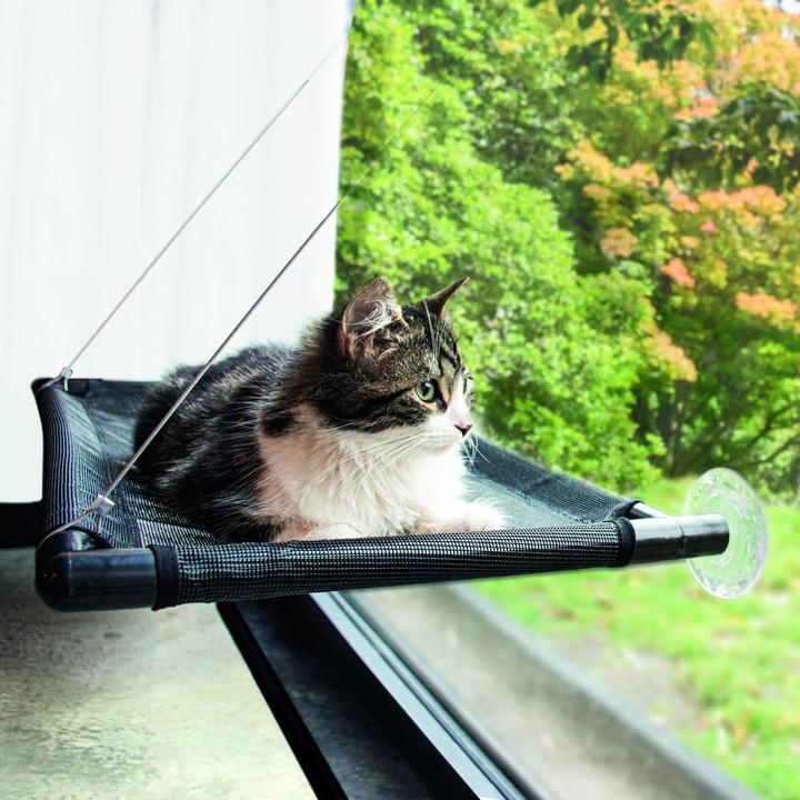Actual product image EBI Window hammock (Cat)