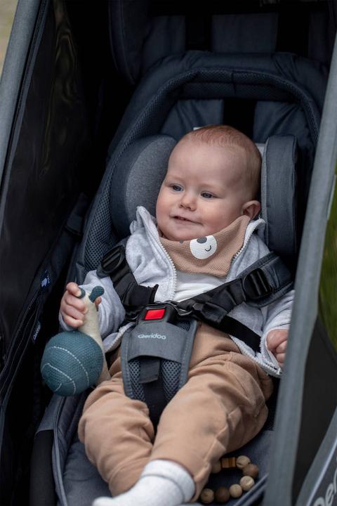 Image du produit Qeridoo Siège bébé (gris foncé)