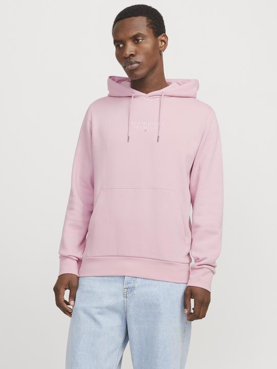 Immagine prodotto Jack & Jones Jprbluarchie Sweat Hood Noos (S)