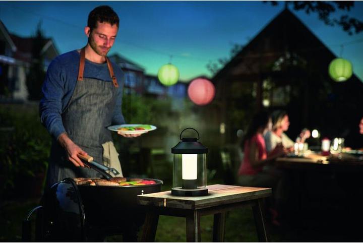 Actual product image Philips Abelia (350 lm)