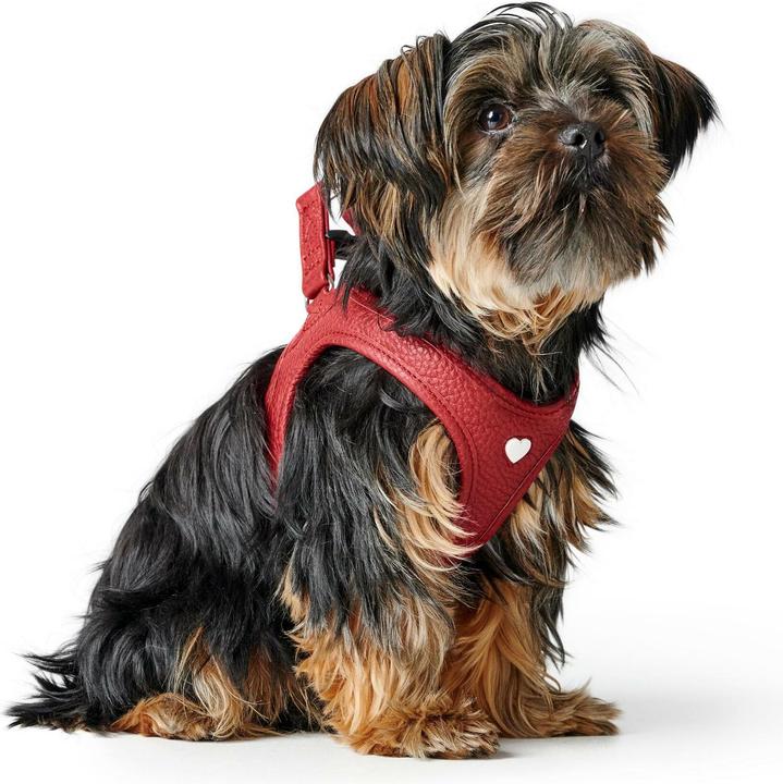 Produktbild Hunter Geschirr Love 37-40/XS-S, Rot/Schwarz, Hundegrösse: S, XS (Hund, Spazieren)