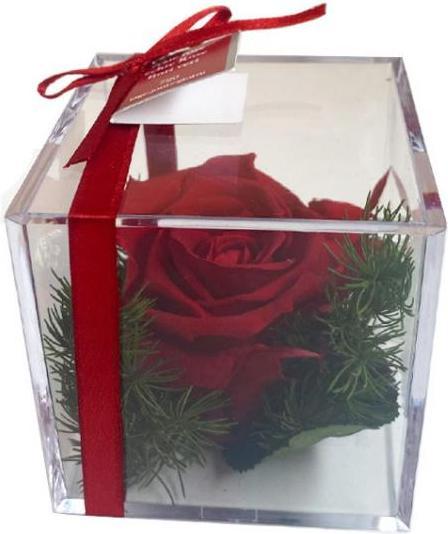 Produktbild TOP Ewig blühende Rose (Trockenblumen)