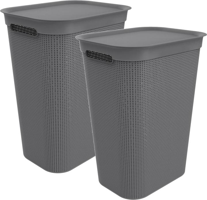 Actual product image Rotho Brisen (50 l)
