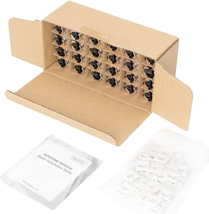 Actual product image Digitus CAT 6A Keystone Module,gesch. (Keystone module)