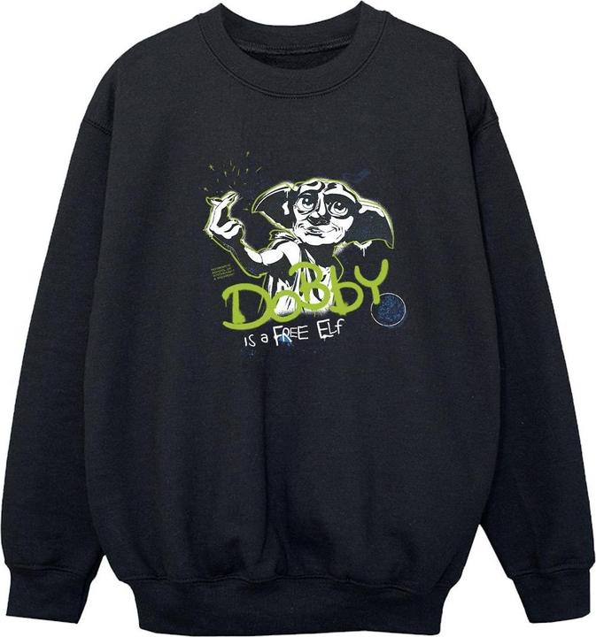 Image du produit - Sweat DOBBY A FREE ELF - Fille (116)