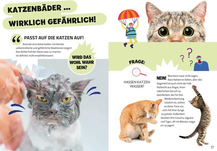 Produktbild National Geographic Die Mythenjäger. Keine Chance für Fake News und Lügenmärchen. Checke dein Wissen in unglaublichen (Deutsch, Silvia Mauri, Massimo Miato, Altea Villa, 2024)