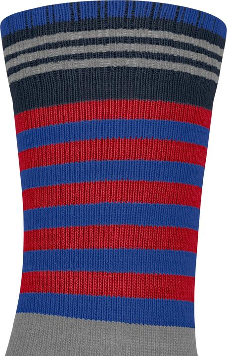 Produktbild Falke Active Frog Kinder Socken (23 - 26)