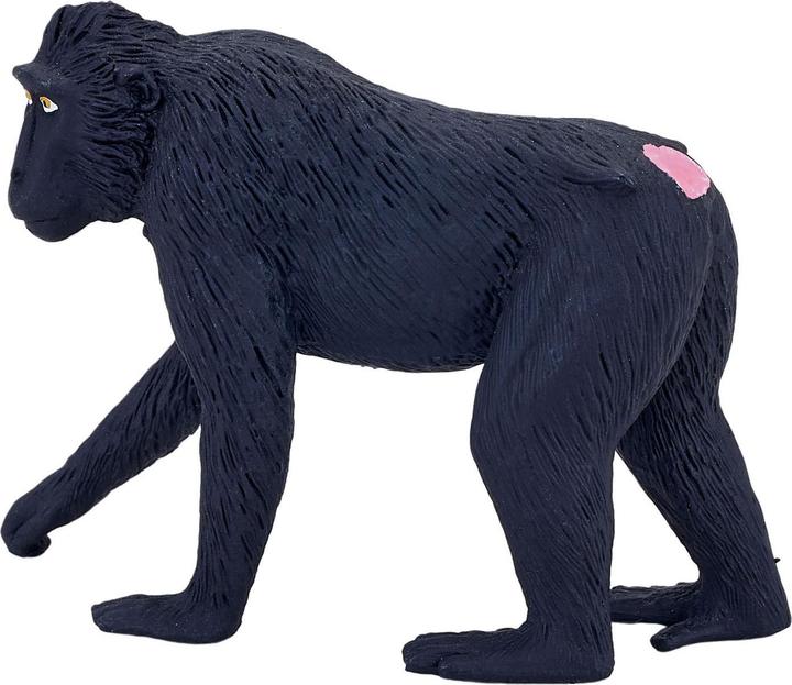 Produktbild Animal Planet Schopfaffe