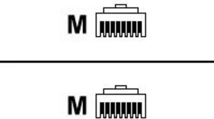 Actual product image Telegärtner Telegartner MP8 FS 600 (S/FTP, CAT6a, 7.50 m)