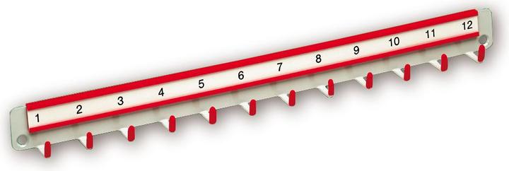 Actual product image Burg Wächter HLW 10 Key strip with 10 hooks