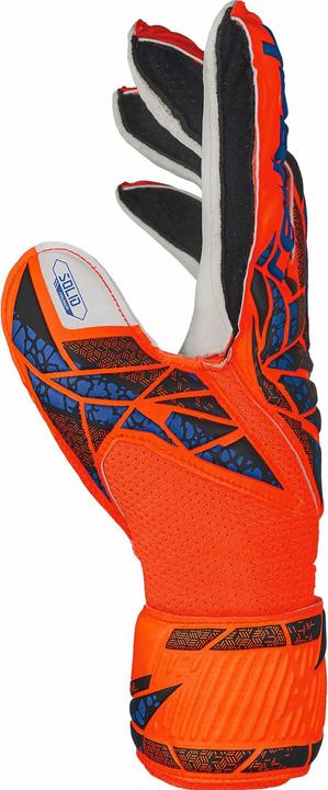 Image du produit Reusch Attrakt Solid (6)