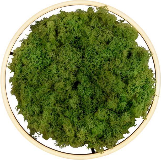 Actual product image Leuchten Direkt Green Ritus (2650 lm)