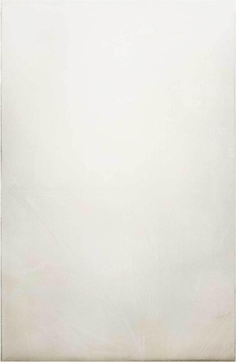 Actual product image Homie Living Lago (160 x 225 cm)
