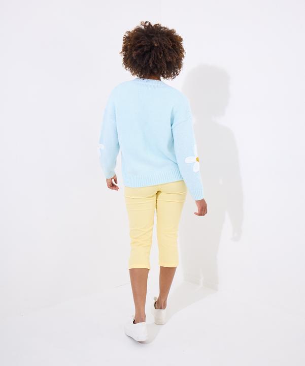 Actual product image Joe Browns Daisy Applique V-Neck Cardigan (36)